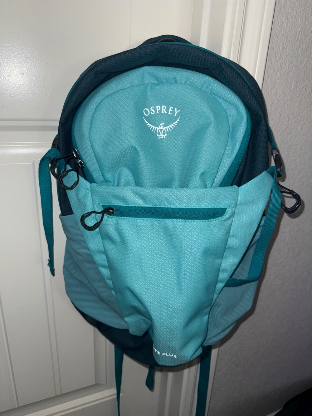 OSPREY Teal and Dark Teal Backpack - Daypack